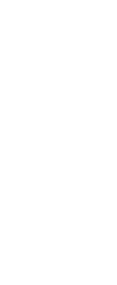 Awards Laurel Wreath Left image — About NMI