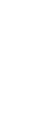 Awards Laurel Wreath Right image — About NMI