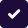 Check mark — feature included